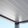 toit du dessous Carport ESSENTIEL Coclic Alu